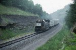 NS 7132 with TCSZ Roadrailer train